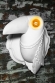 Гипсовый бра PARROT 7327