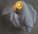Гипсовый бра PARROT 7327