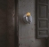 Гипсовый бра PARROT 7327